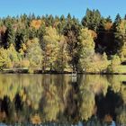 Hornbacher Moor im Schwarzwald