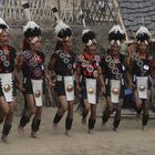 hornbill festival 02