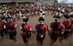 hornbill festival 03