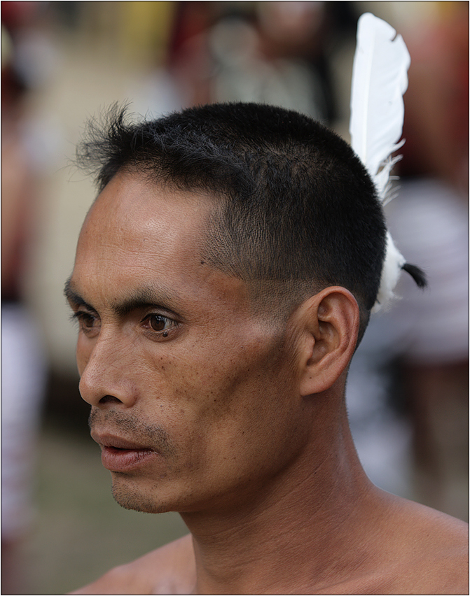 hornbill festival 08