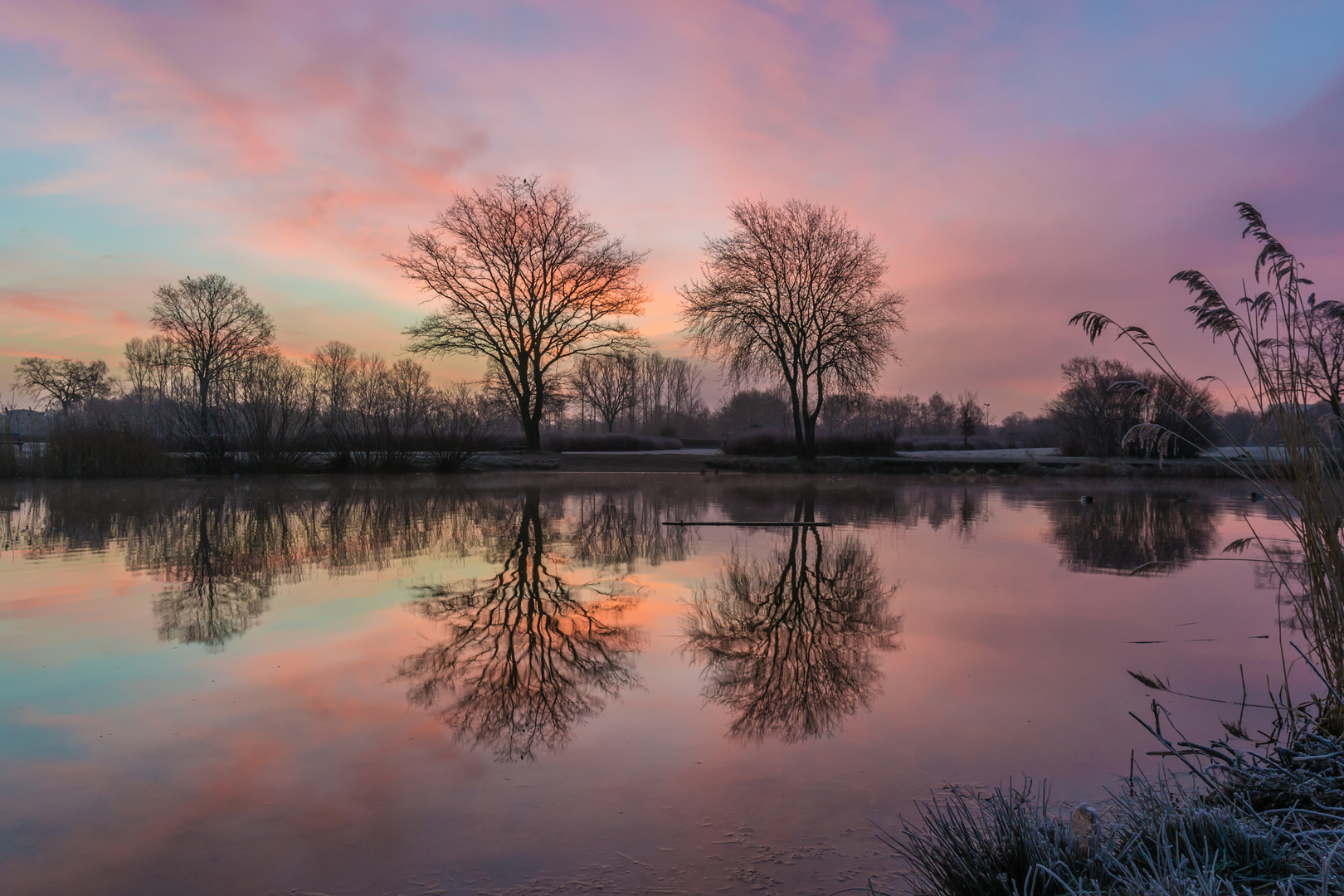 Horner Rennbahn - Silent Morning