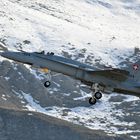 Hornet Axalp