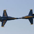 Hornet FA-18 Blue Angels