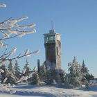 Hornisgrinde, 1160 m über N. N.