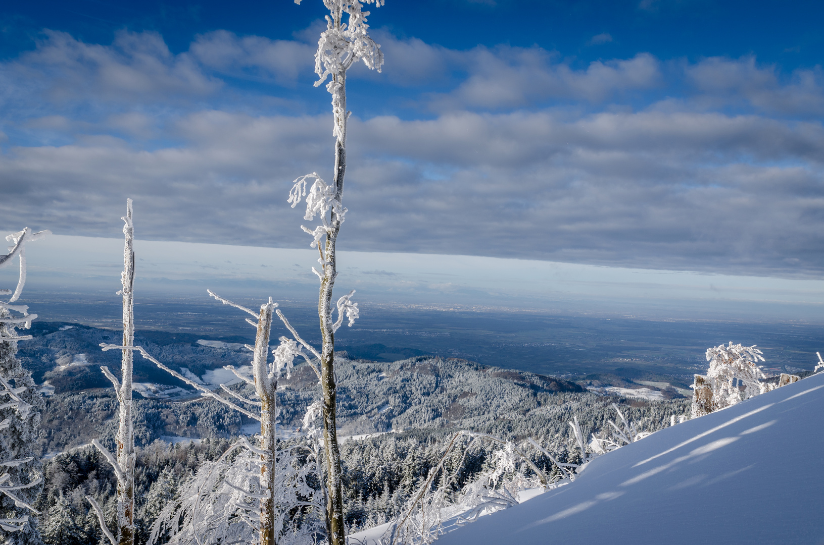 Hornisgrinde Foto & Bild deutschland, europe, baden württemberg