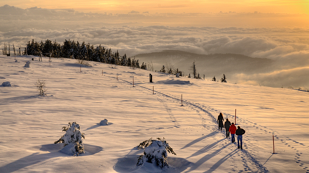 Hornisgrinde Foto & Bild deutschland, europe, baden württemberg