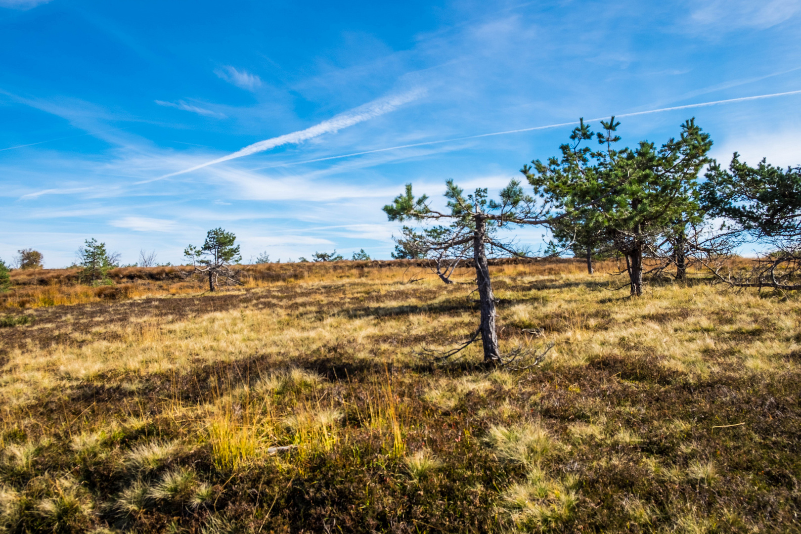 Hornisgrinde Foto & Bild fotos, world, himmel Bilder auf