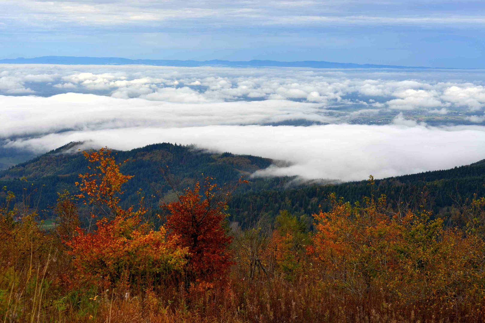 Hornisgrinde im Herbst