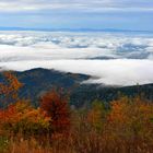 Hornisgrinde im Herbst