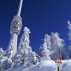 Hornisgrinde im Nordschwarzwald