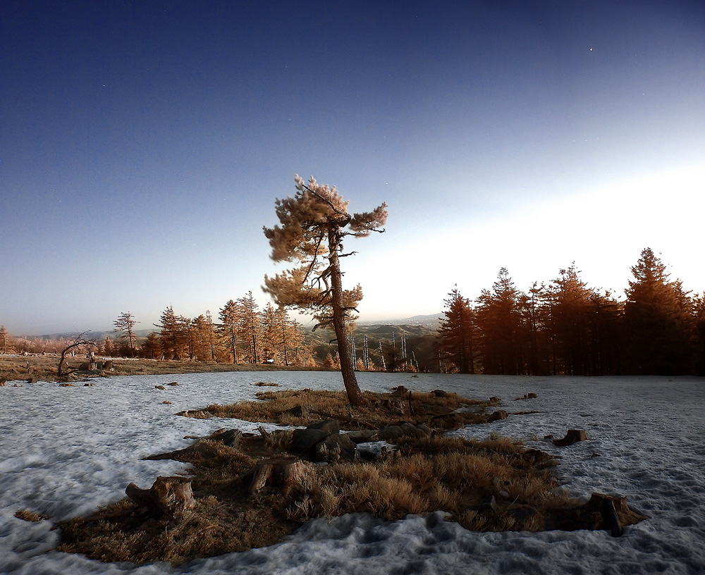 Hornisgrinde im Schwarzwald