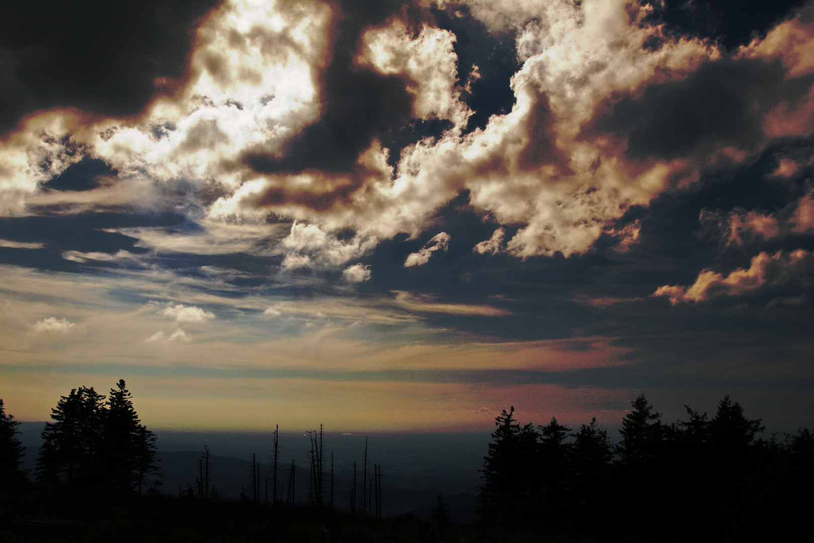 Hornisgrinde Schwarzwald