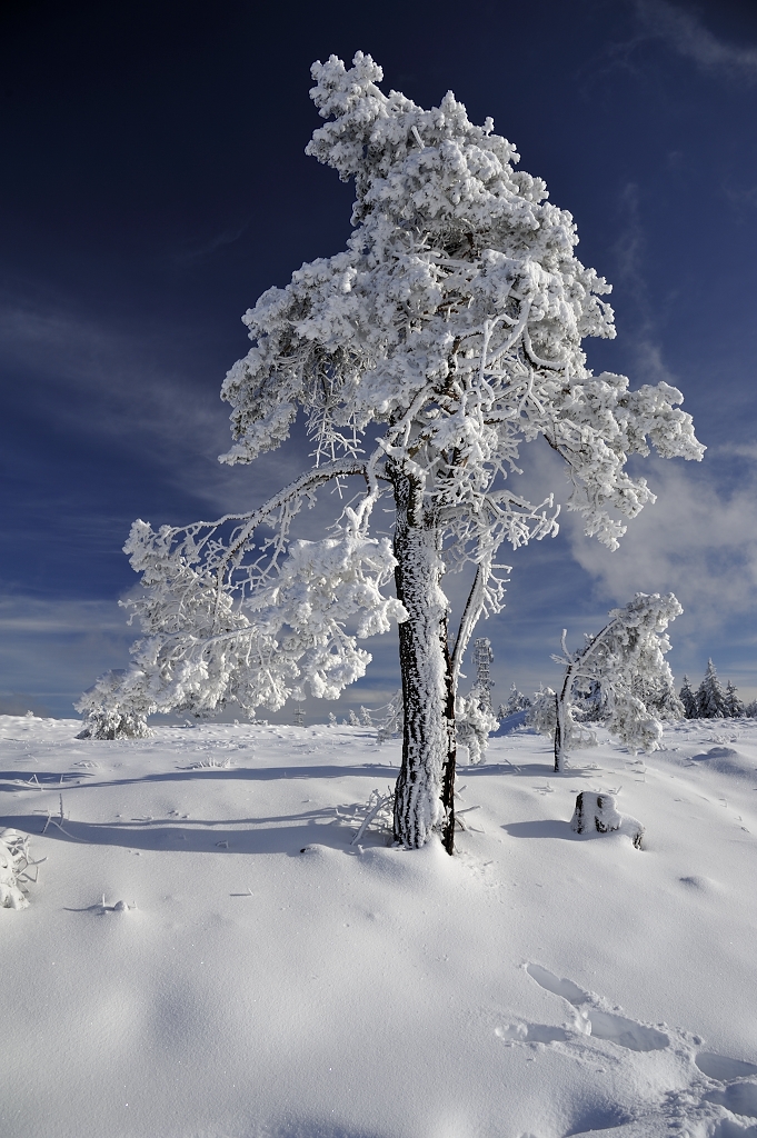 Hornisgrinde-Winter(chen)