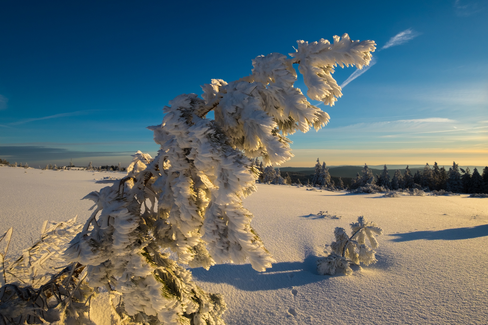 Hornisgrinde Winterstimmung