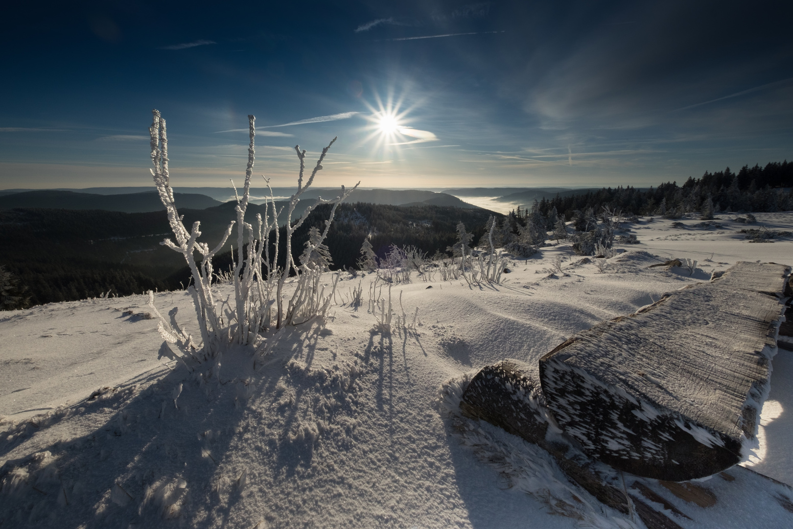 Hornisgrinde Winterstimmung