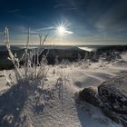 Hornisgrinde Winterstimmung