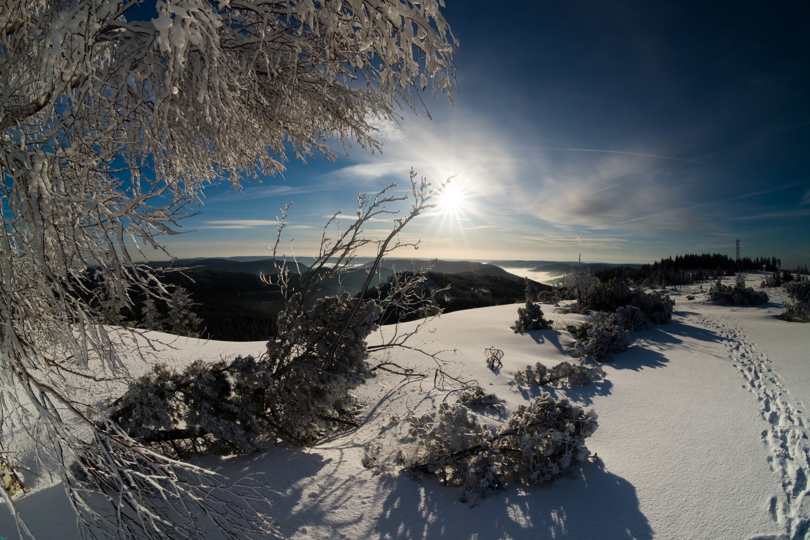 Hornisgrinde Winterstimmung