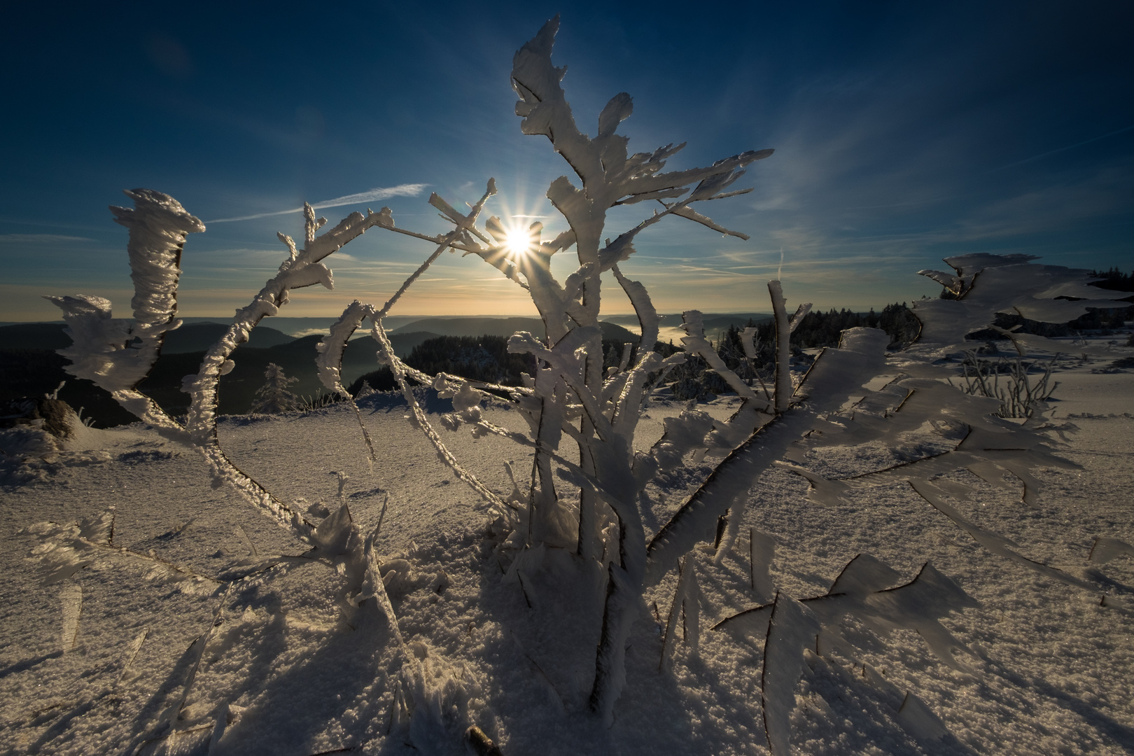 Hornisgrinde Winterstimmung