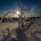 Hornisgrinde Winterstimmung