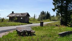 Hornissgrinde Schwarzwald