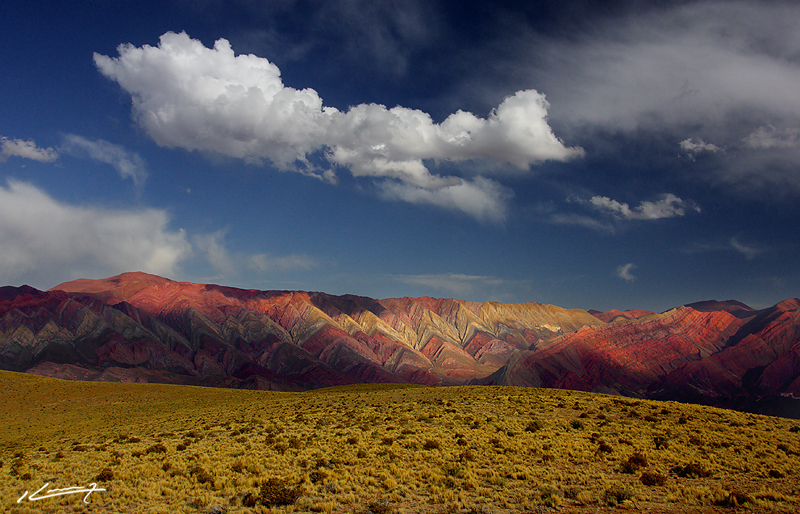 HORNOCAL - ARGENTINA