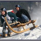 Hornschlittenrennen in Au