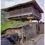 Hórreo asturiano (Camino del Norte, 7)