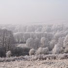 Horressen bei Montabaur. Minus 6°C Teil 2