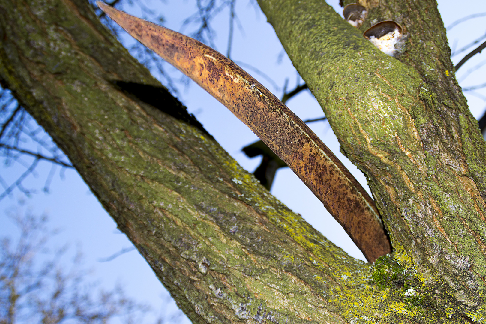 Horror im Garten