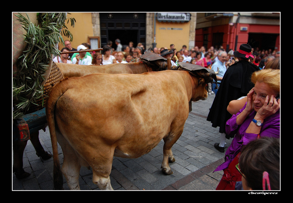 ¡¡¡HORROR!!! ¡¡¡MÁS VACAS!!!