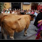 ¡¡¡HORROR!!! ¡¡¡MÁS VACAS!!!