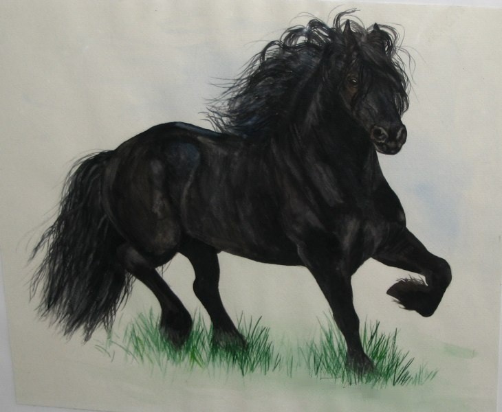 Horse