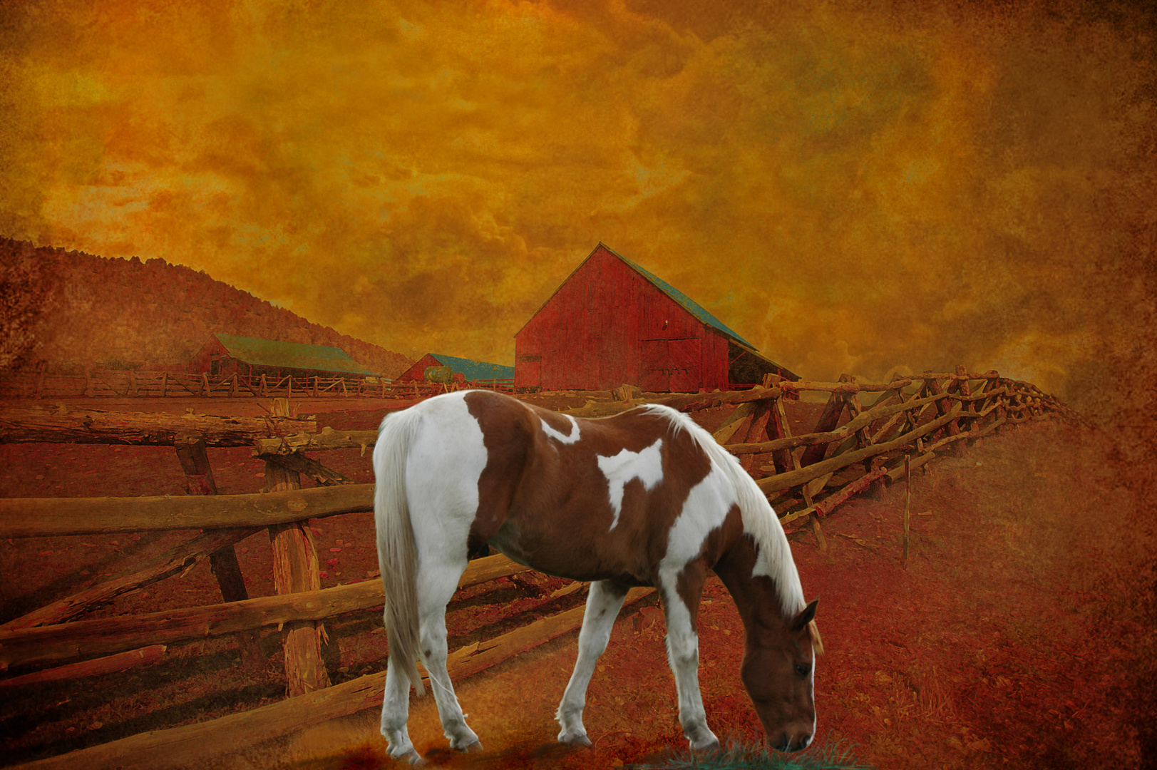 horse and barn