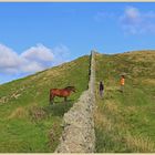 horse and chinese tourists on the Roman Wall