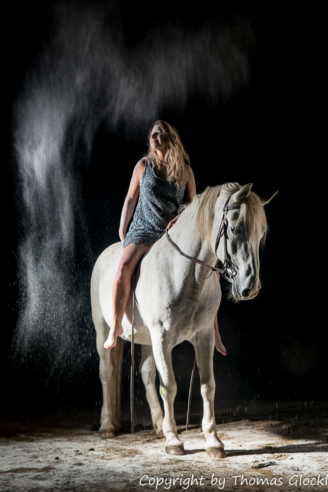 Horse and Girl 2