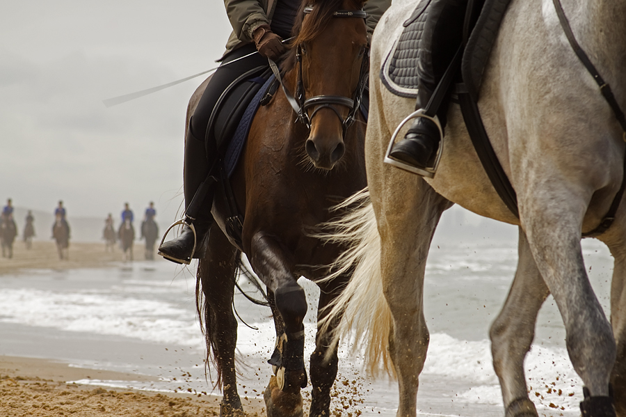 horse and men