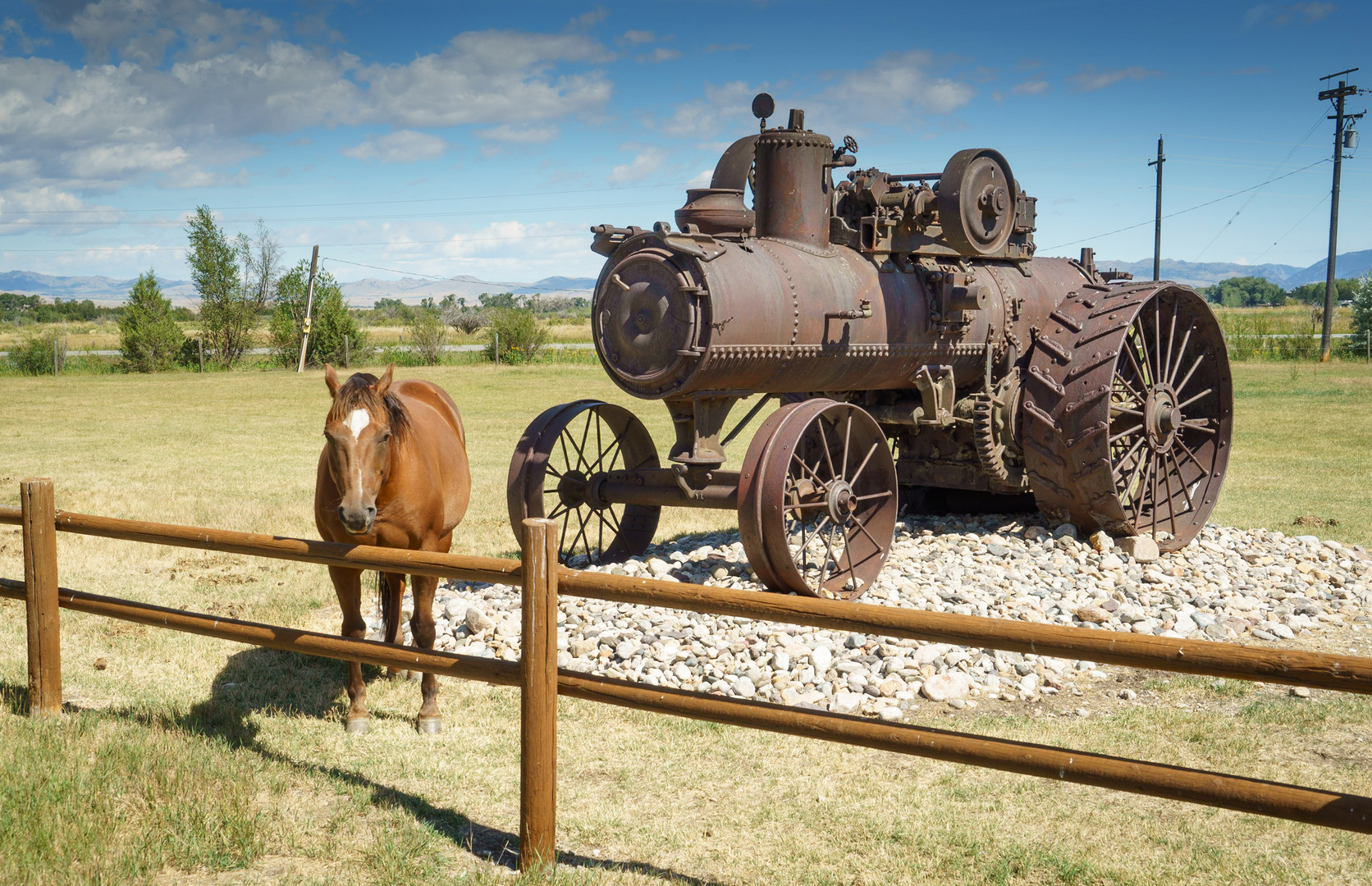 Horse and Power