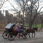 Horse and Wagon (Etsy)