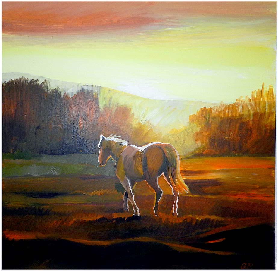 Horse at sunset