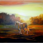 Horse at sunset