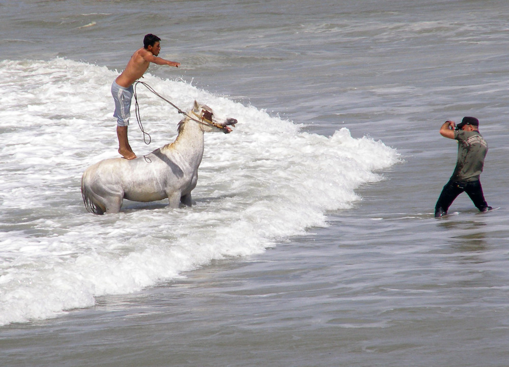 Horse-Backflip