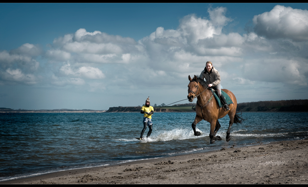 horse-boarding II