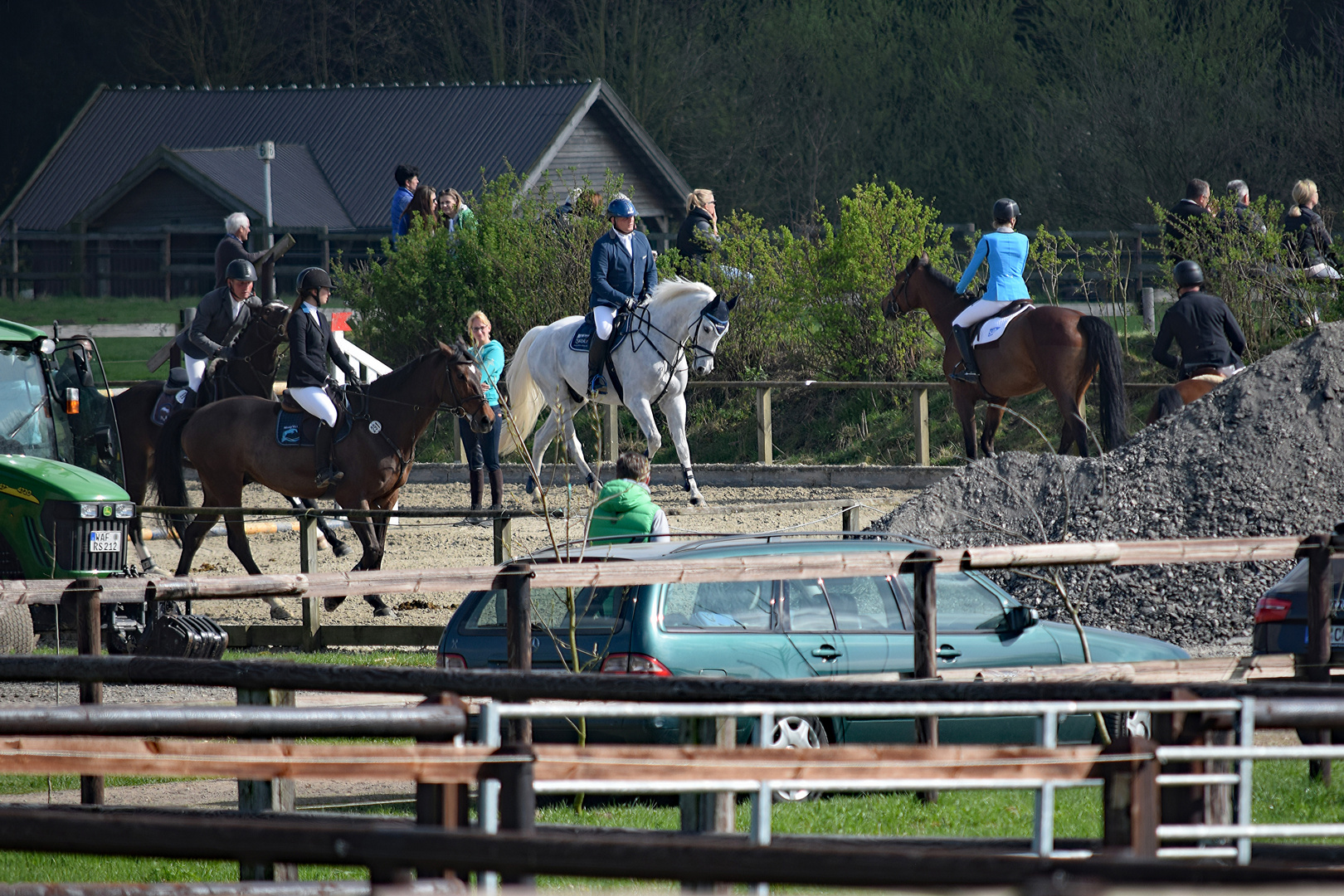 horse-breeding-and-show