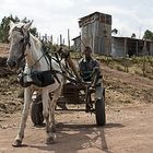 horse carriage