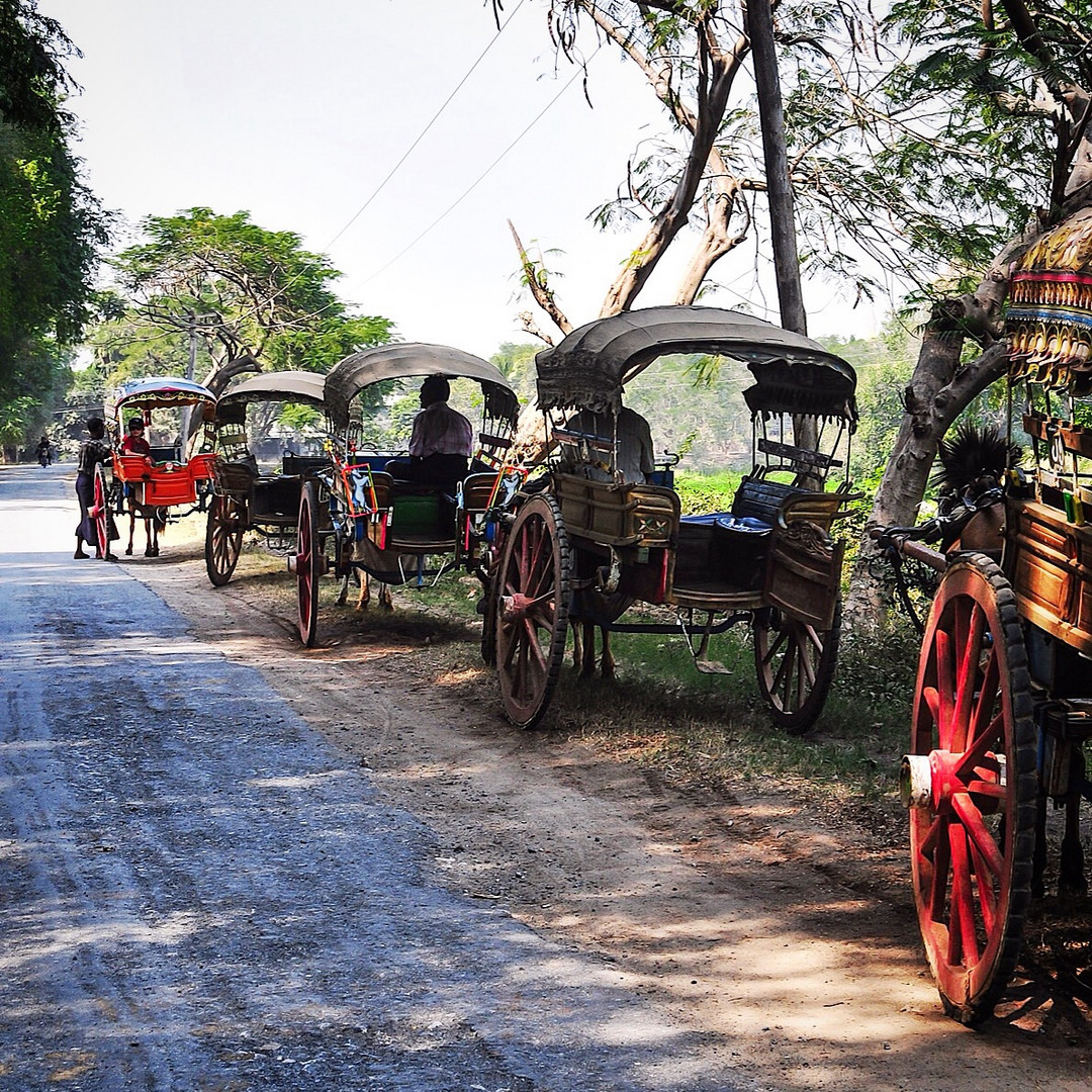 Horse carriage