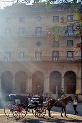 Horse carriage in Habana Vieja
