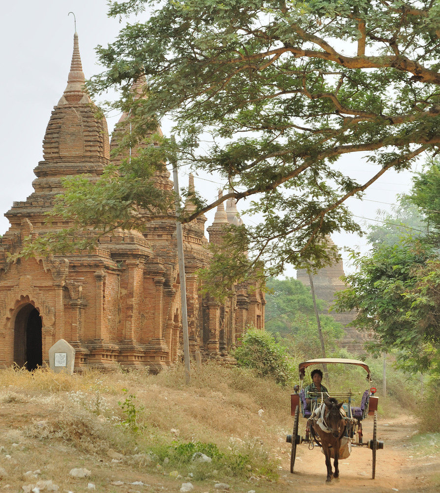 Horse cart in Bagan