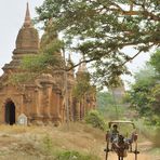 Horse cart in Bagan