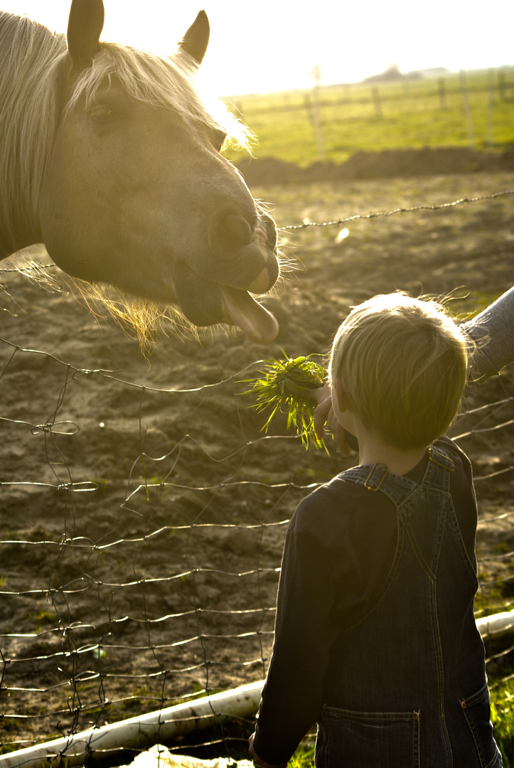 Horse & Child