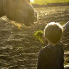 Horse & Child